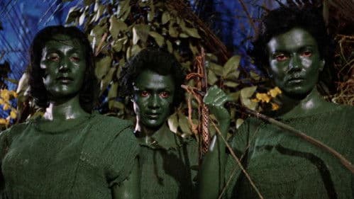 Love Slaves of the Amazons Bild 1