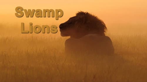 Swamp Lions Bild 1