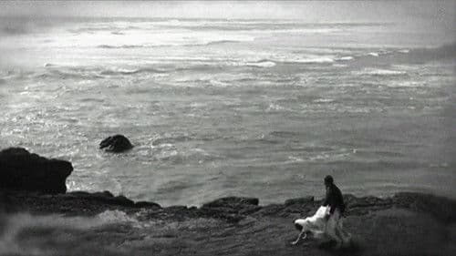 42 One Dream Rush Bild 1