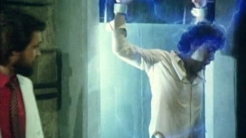 The Stabilizer Bild 3