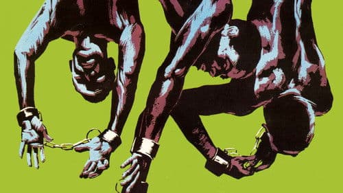 Addio Onkel Tom Bild 3