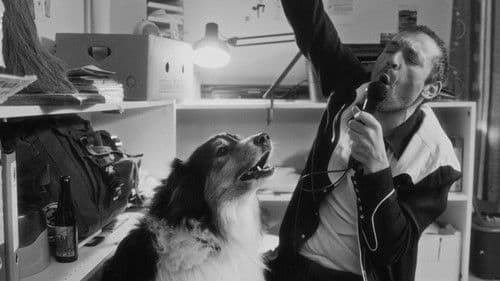 Chiennes de vies Bild 2