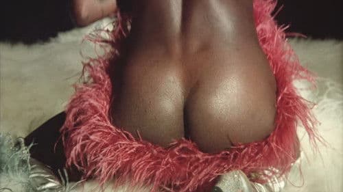 Weiße Haut auf schwarzen Schenkeln Bild 7