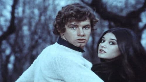 El asesino no está solo Bild 3