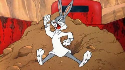 Hase ohne Heim Bild 1