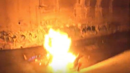 Into the Zone: The Story of the Cacophony Society Bild 1