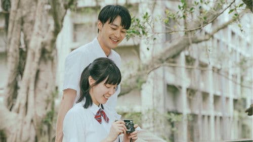 夏日最後的祕密 Bild 4