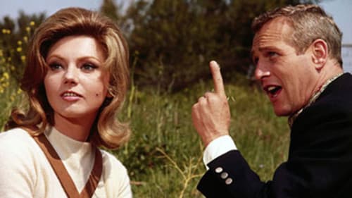 Der Etappenheld Bild 2