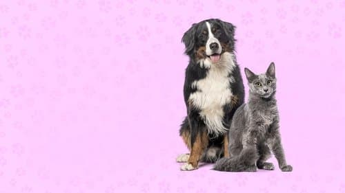 Nos très chers animaux Bild 1