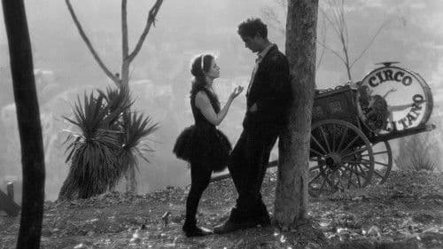 Engel der Straße Bild 2