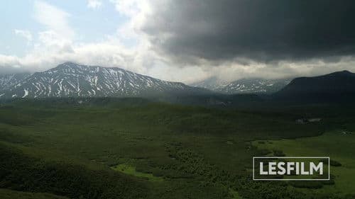 Медведи Камчатки. Начало жизни Bild 2