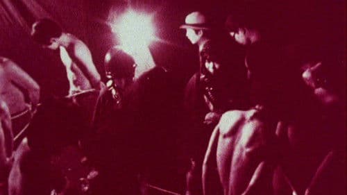 トマトケチャップ皇帝 Bild 3