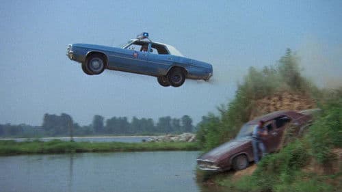 Der Tiger hetzt die Meute Bild 5