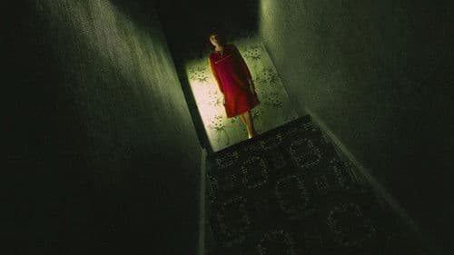 Enfield Poltergeist Bild 7