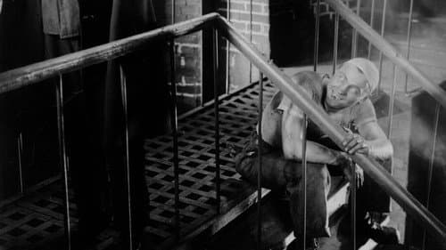 Граница Bild 6