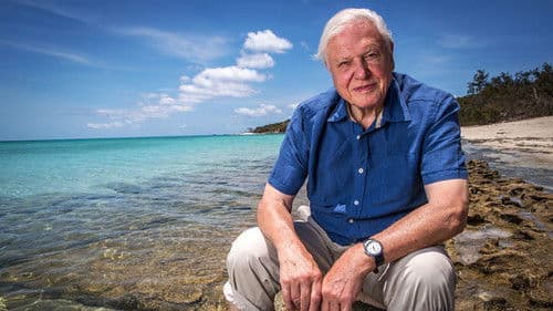 Great Barrier Reef with David Attenborough Bild 3