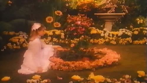 Rose Petal Place Bild 3