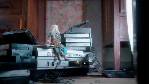 Wander to Wonder Bild 3