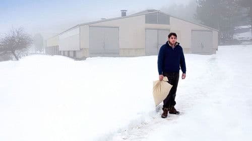 Die Verschwundene Bild 5