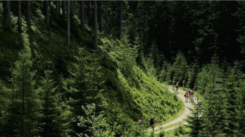 Travelling Light Bild 2