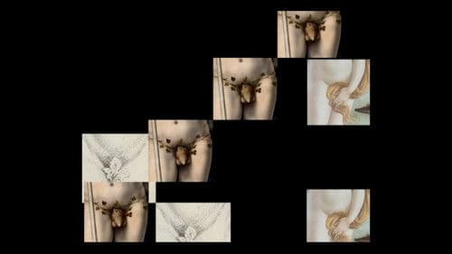 Das versteckte Geschlecht – Kunst und Scham Bild 2