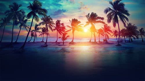 Les Anges de la Téléréalité Bild 1