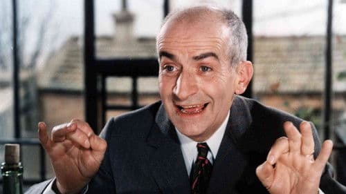 Louis de Funès, inoubliable Bild 1