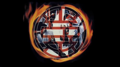 Karate Bomber Bild 4