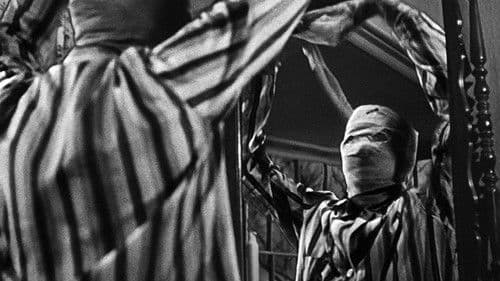 Der Unsichtbare Bild 2