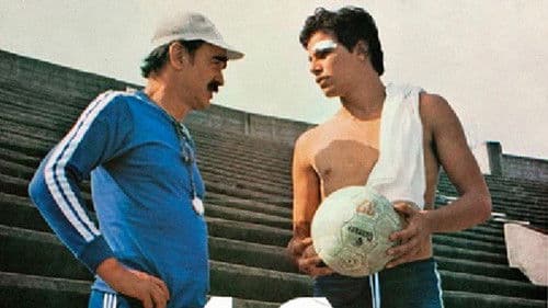 Asa Branca - Um Sonho Brasileiro Bild 1