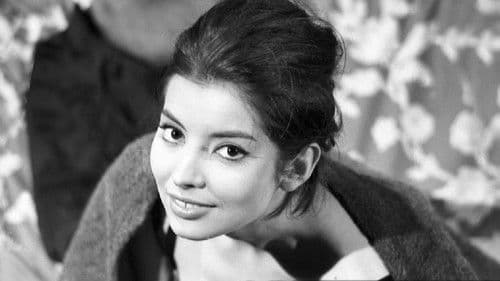 Mariti a congresso Bild 1