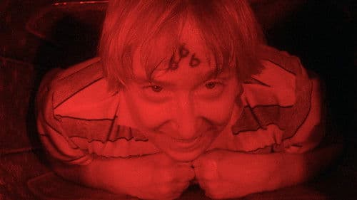 Wacko – Da wackelt die Bude Bild 3