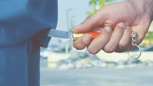 فُليم - ذوي الإحتياجات العامة Bild 5