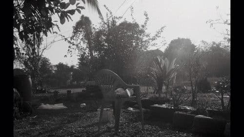 Begins (โผบิน) Bild 2