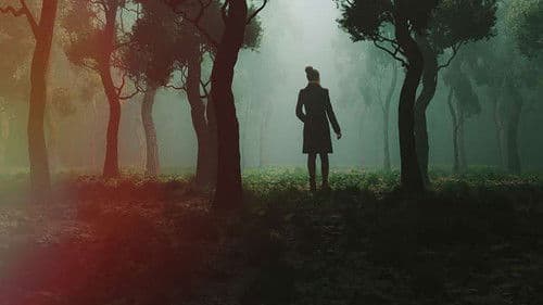 Still a Mystery Bild 1