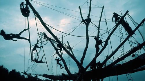 Circus Baobab Bild 2