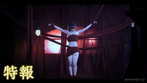 牙狼外伝～桃幻の笛～ Bild 1