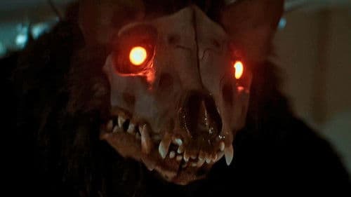 Closed Circuit Bild 5