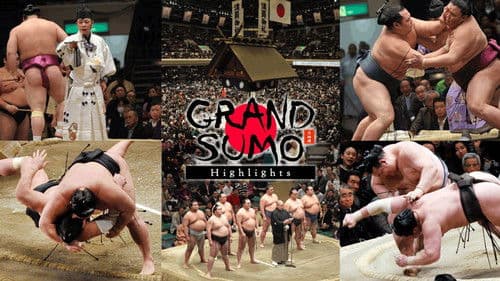 GRAND SUMO Highlights Bild 2