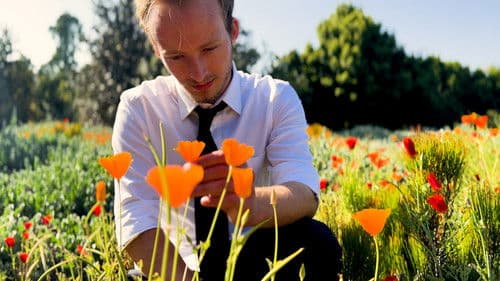 Outside the Box Bild 1