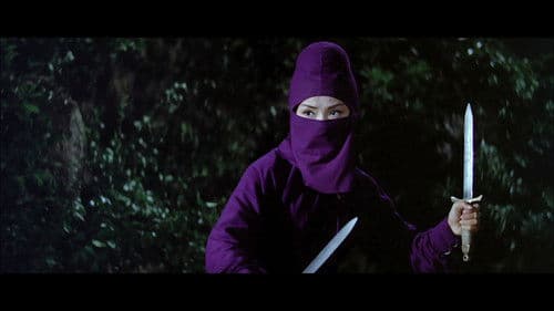 女俠黑蝴蝶 Bild 1