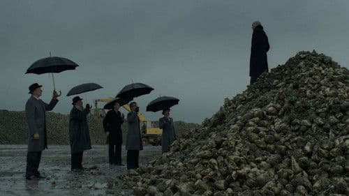 Zucker, Zucker Bild 2