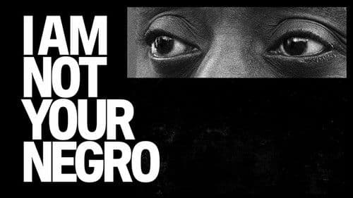I Am Not Your Negro Bild 2