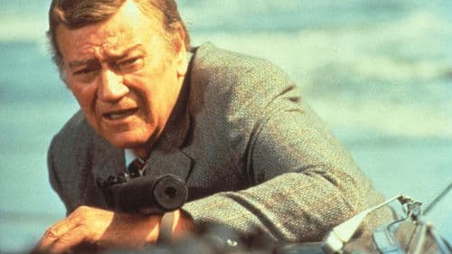 McQ schlägt zu Bild 5