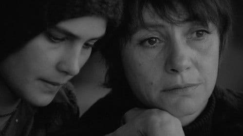 Örökbefogadás Bild 4