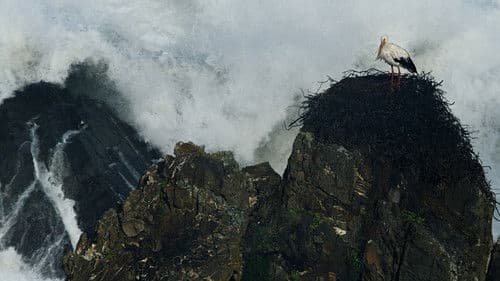 Wildes Portugal Bild 4