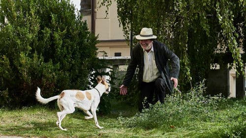 Gump – pes, který naučil lidi žít Bild 3