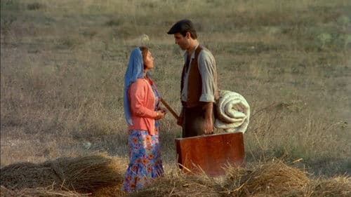 Şark Bülbülü Bild 8