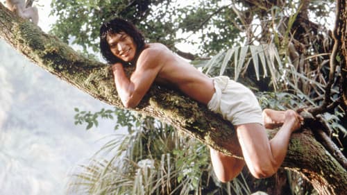 Das Dschungelbuch Bild 2