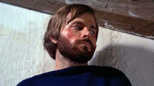 Das verfluchte Haus Bild 2